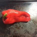 Roasted Pepper 1